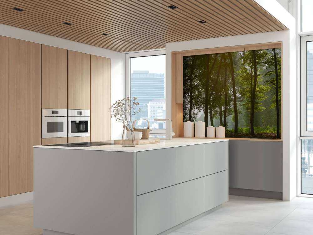 Foresta al sole del mattino