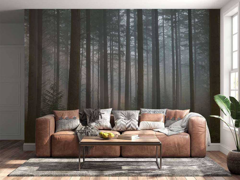 Nebbia verde foresta