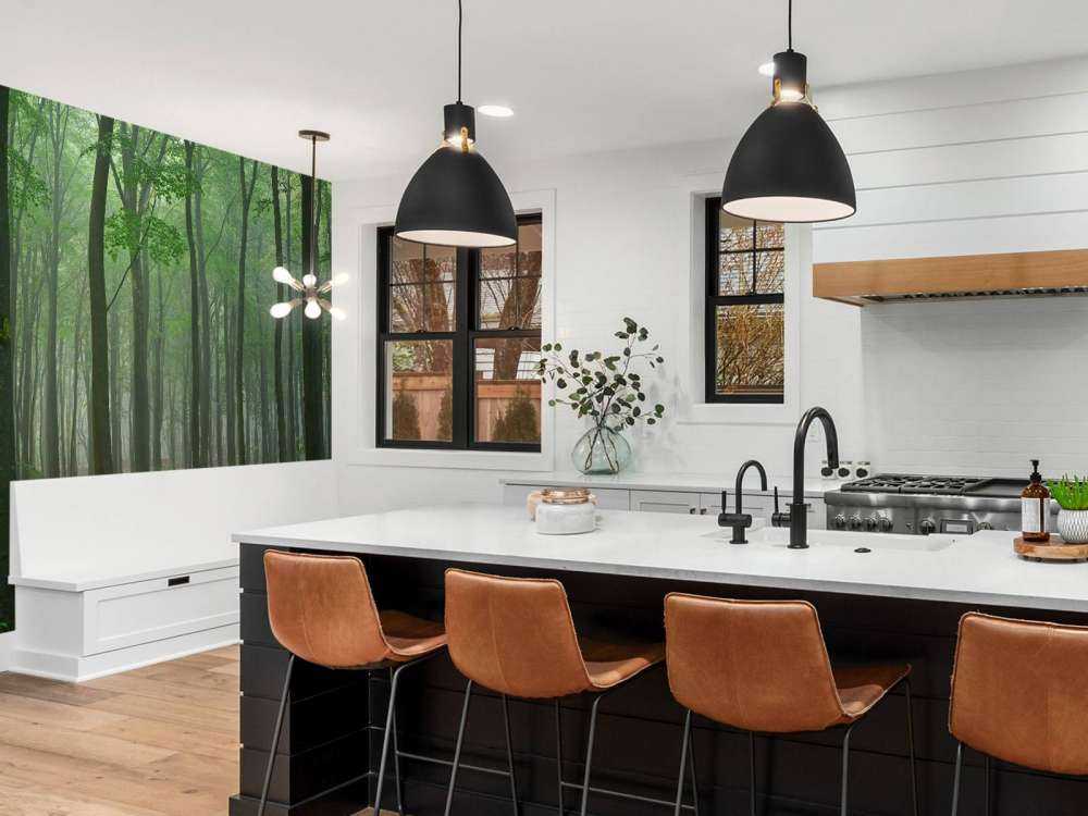 Nebbia nella foresta