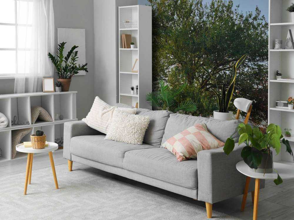 Albero solitario sulla brughiera