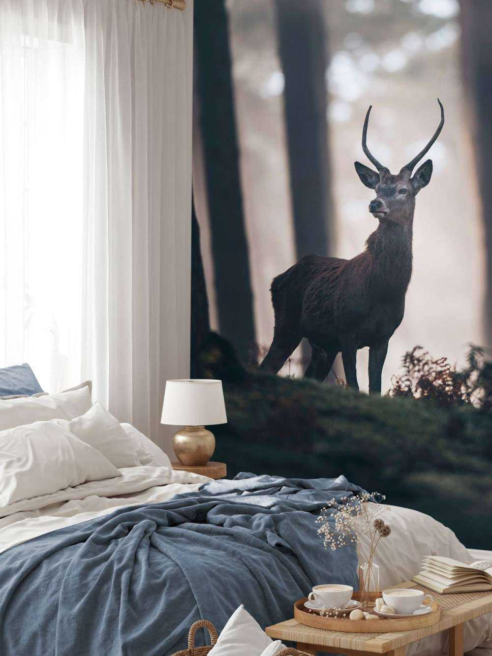 Cervo vicino agli alberi