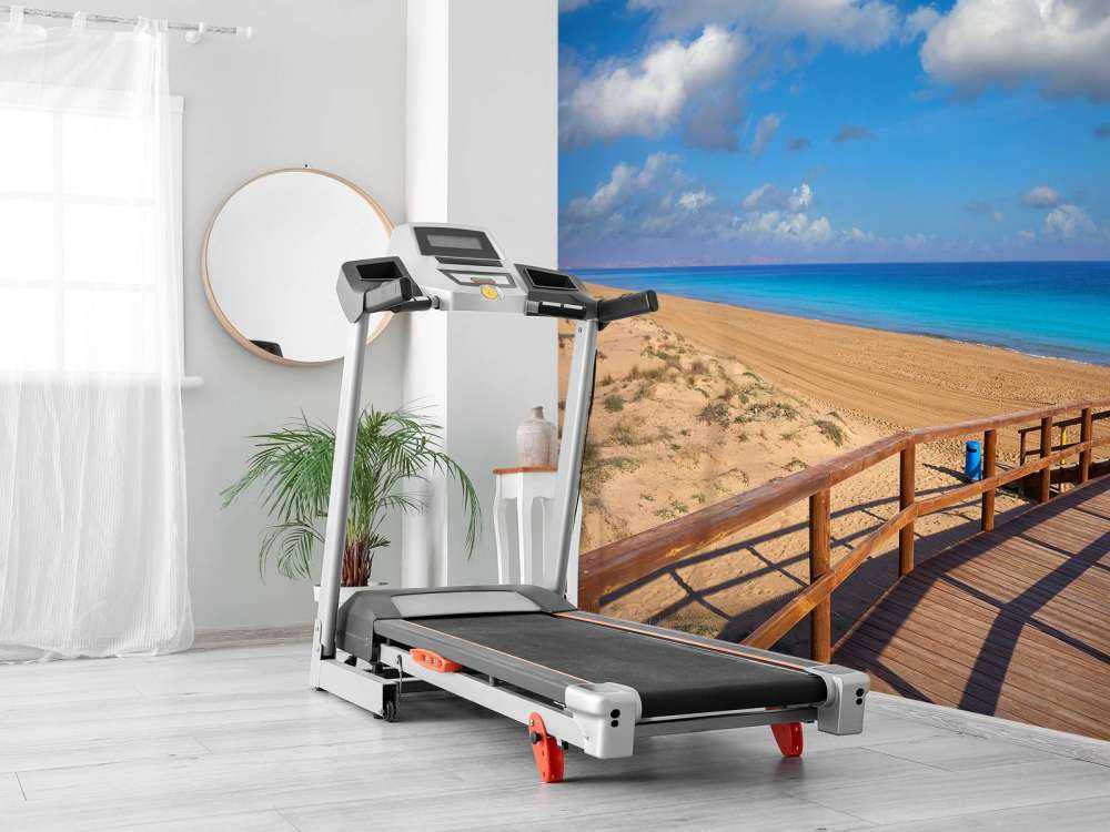 Sentiero della spiaggia