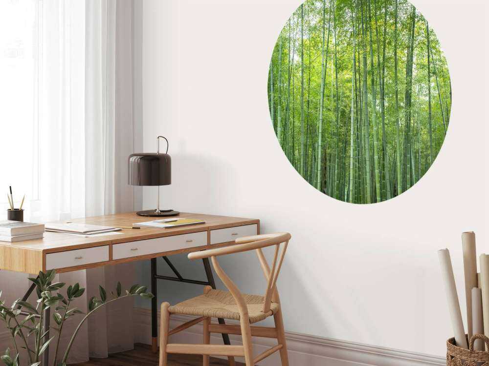 Foresta di bambù verde