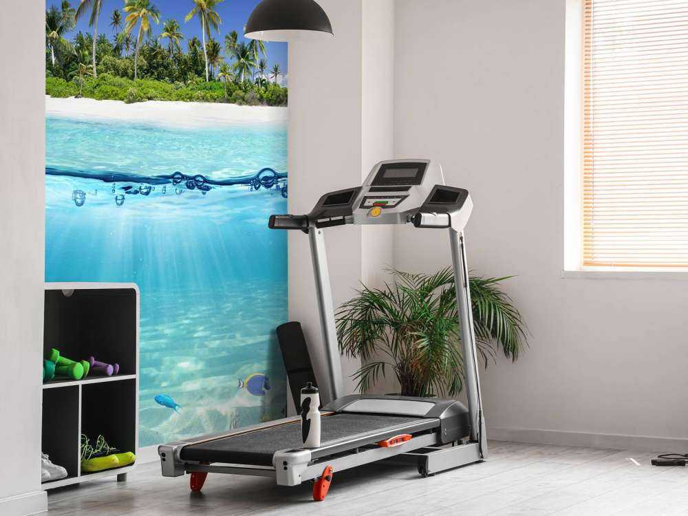 Isola tropicale e barriera corallina