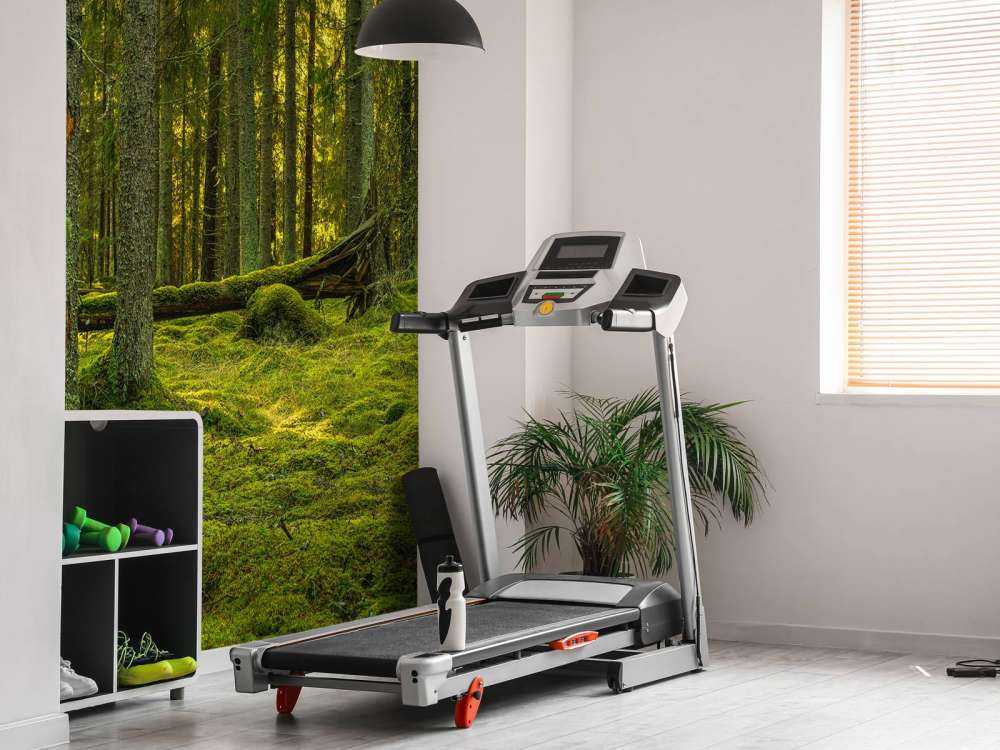 Foresta di pini verdi