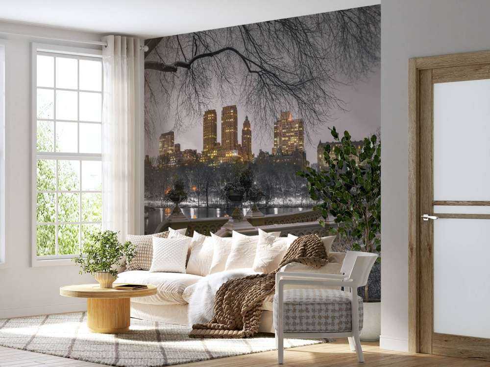 Central Park e Manhattan