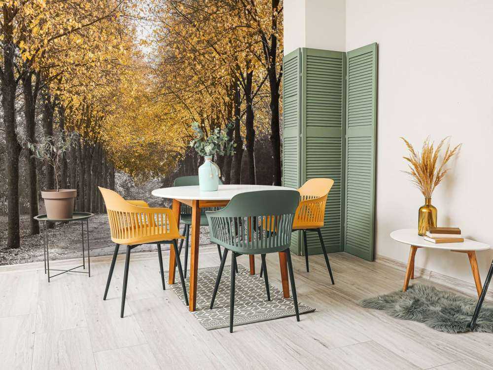 Sentiero tra gli alberi