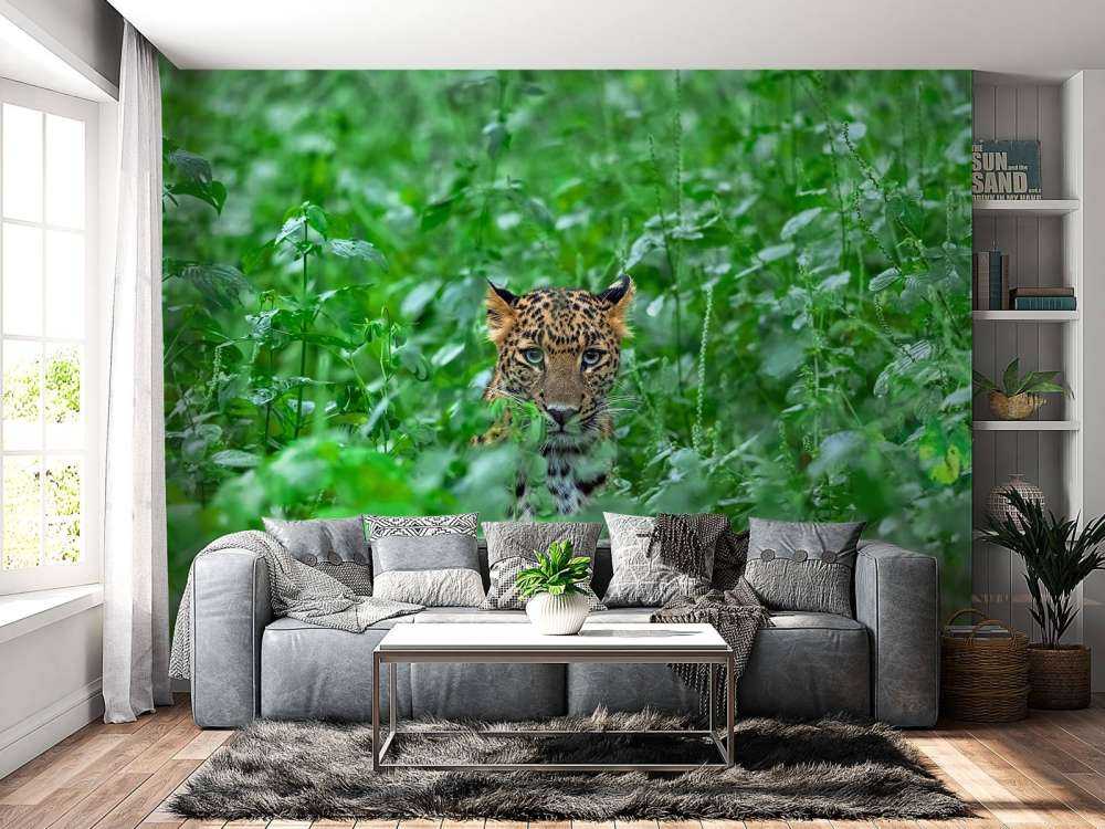 Leopardo nella foresta