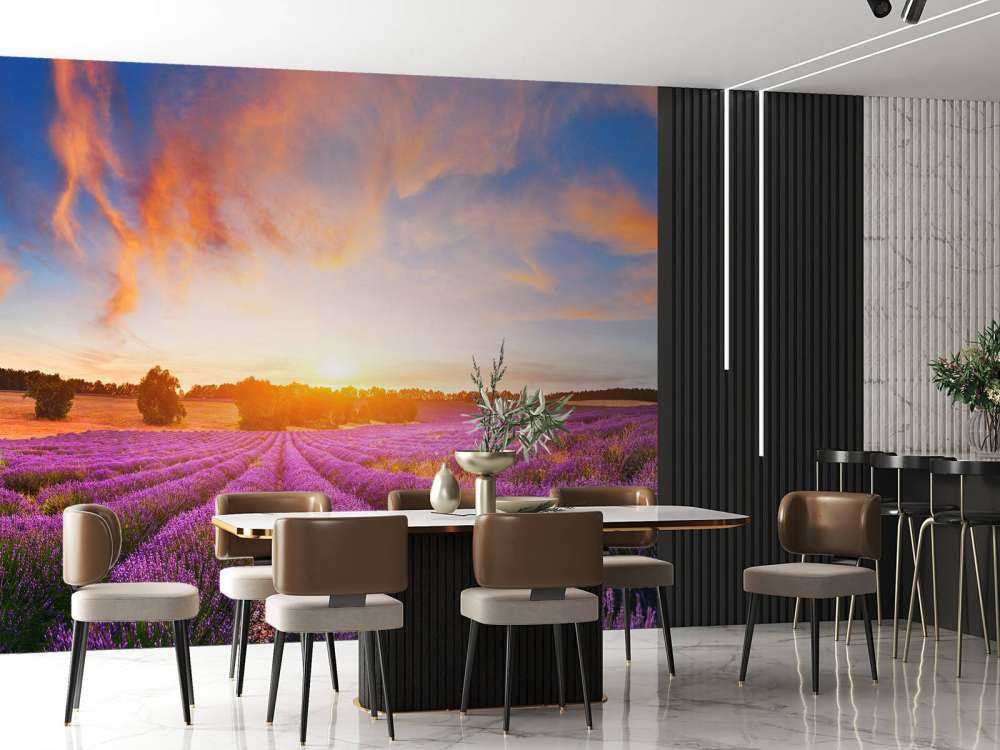 Campo con Lavanda
