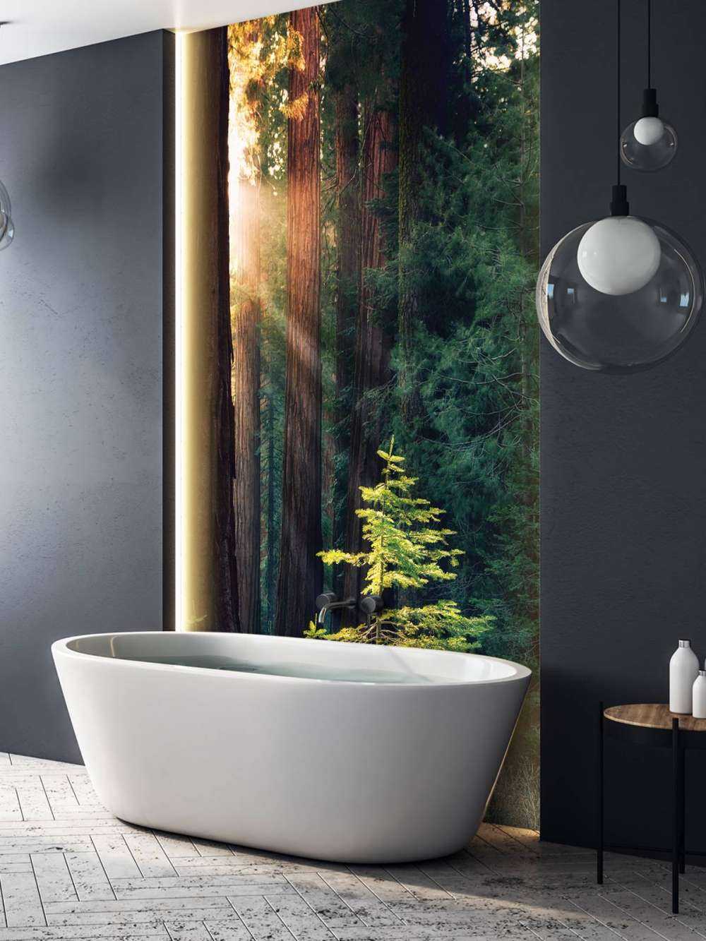 Luce del sole tra gli alberi di mogano