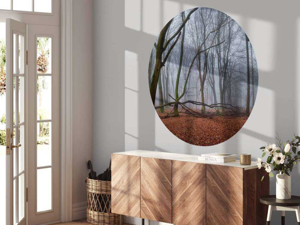 Misteriosa foresta nebbiosa