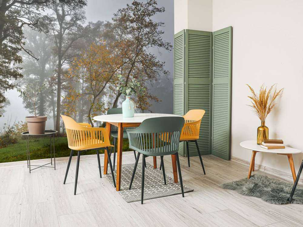 Campo di erba con alberi e nebbia