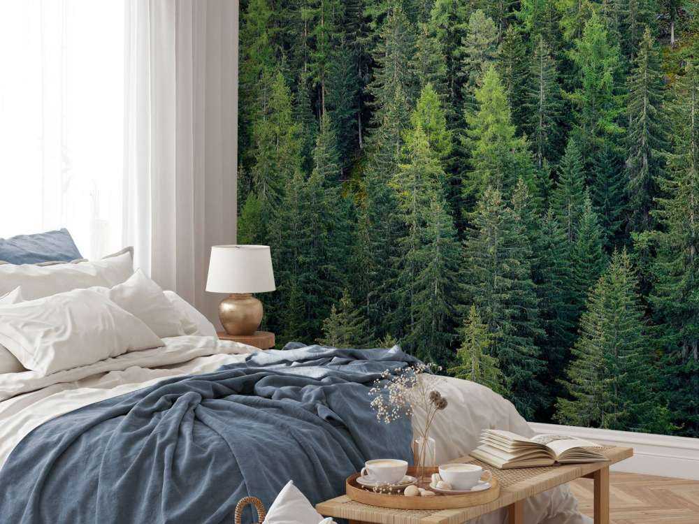 Foresta di abete verde