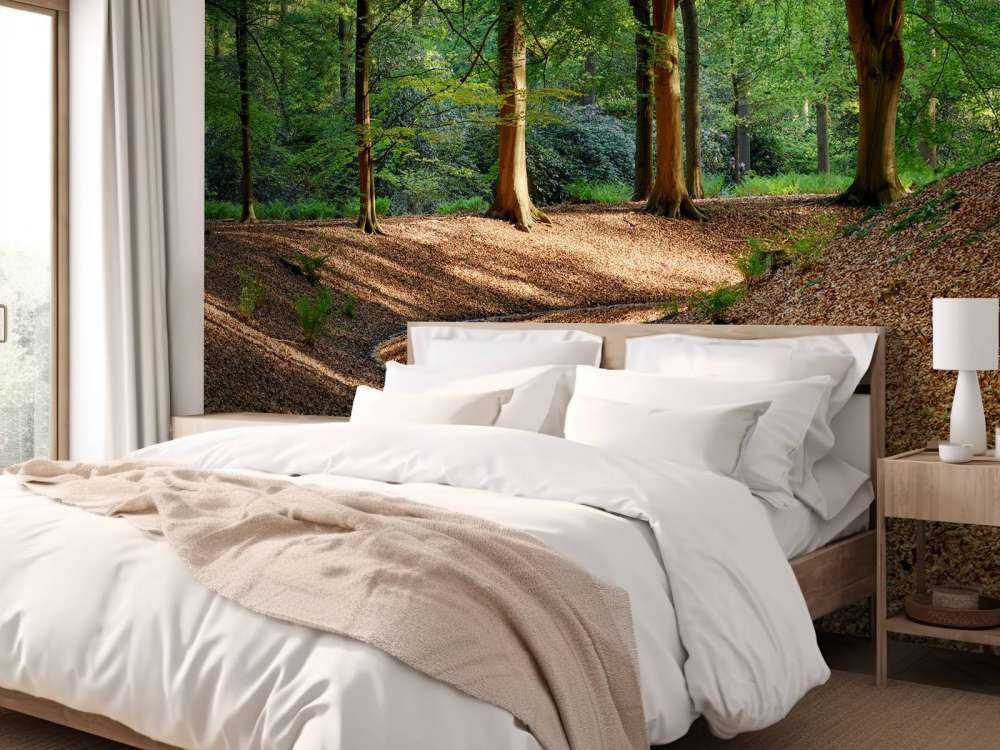 Brooklet nella foresta 