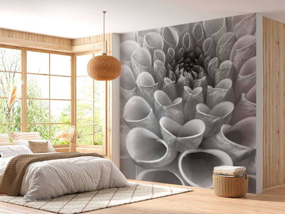 Dalia in primo piano