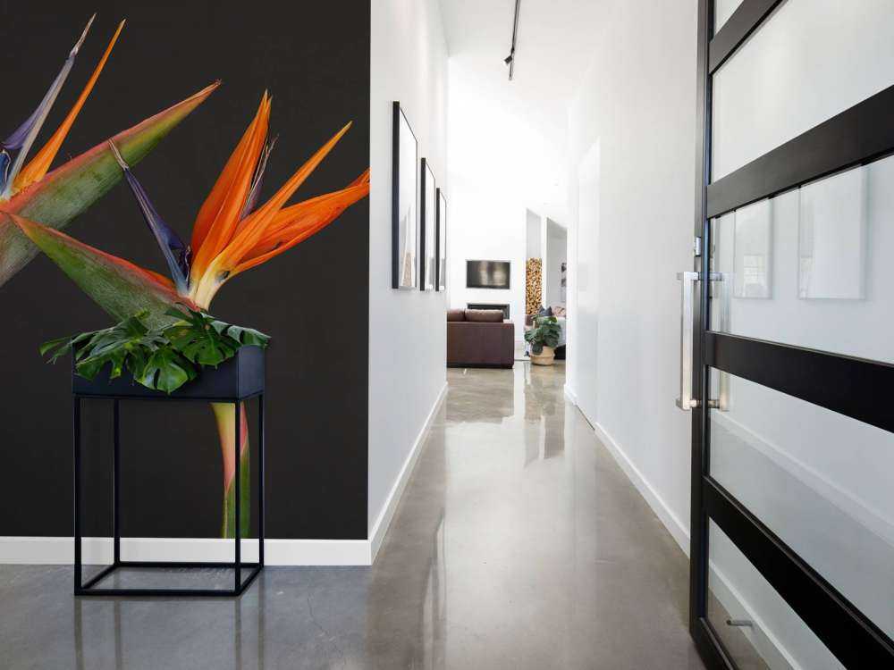 Fiori di uccello del paradiso