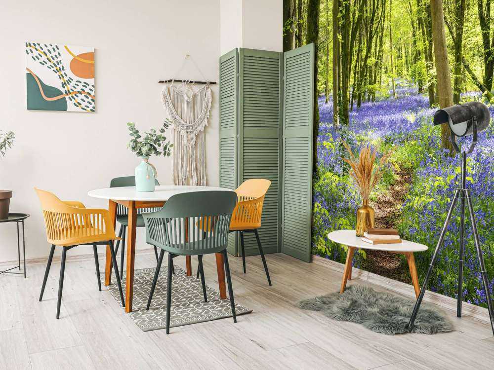 Foresta alla luce del sole