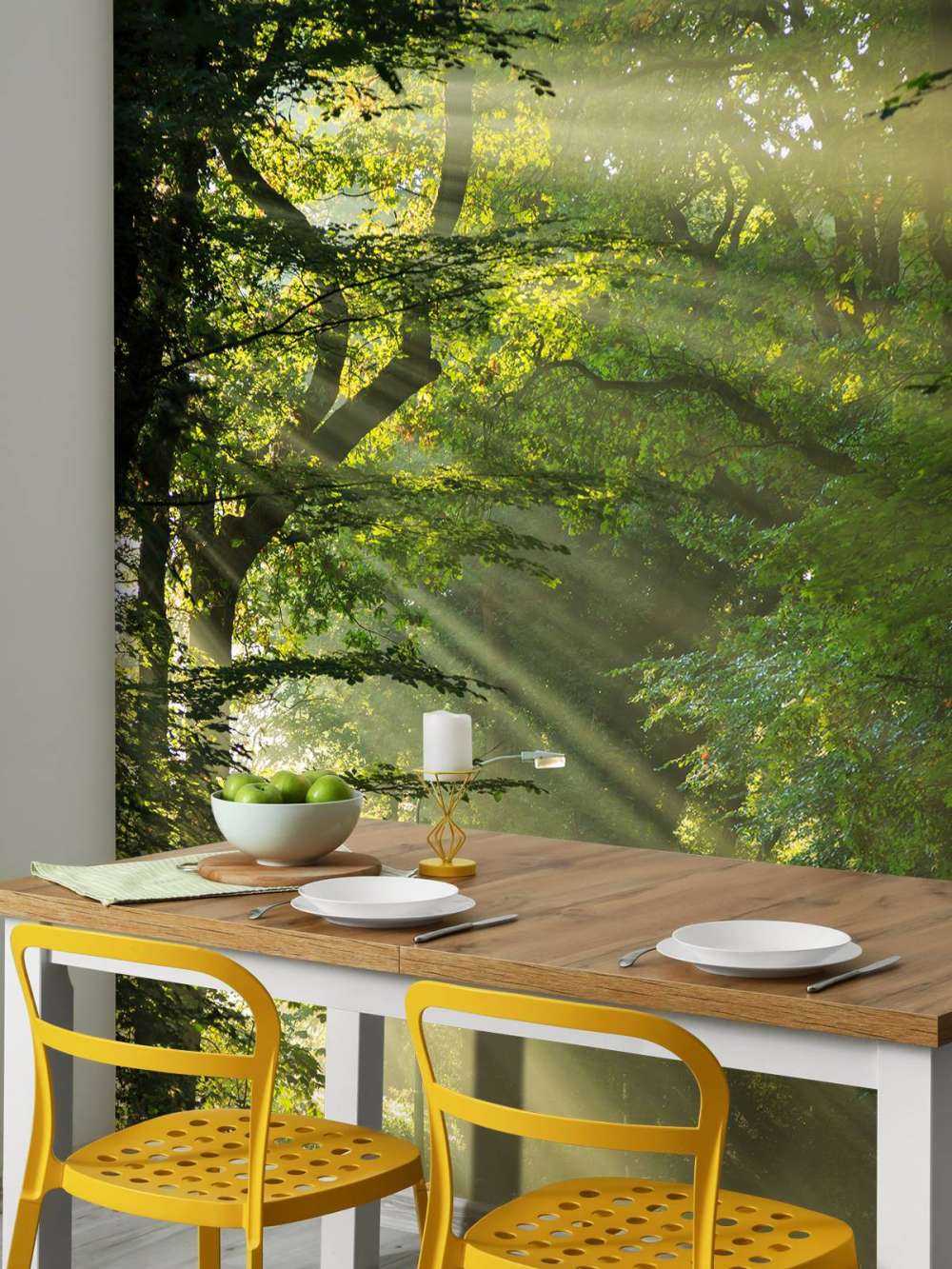 Raggi di sole attraverso gli alberi