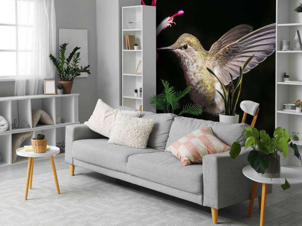 Colibrì con fiore rosso