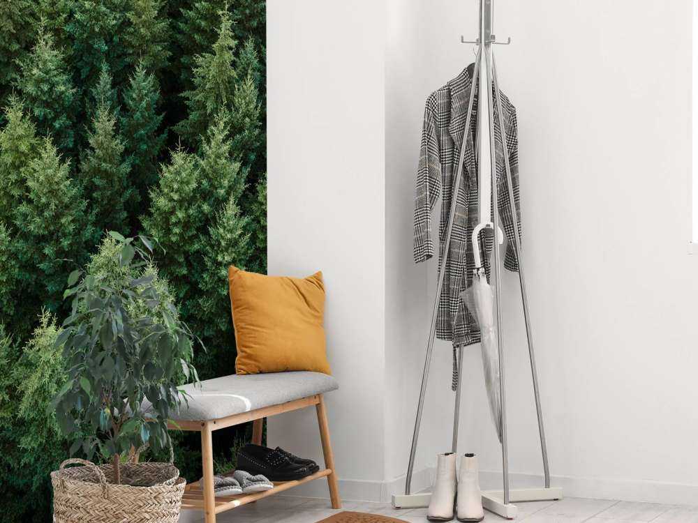 Abeti di Douglas dall'alto