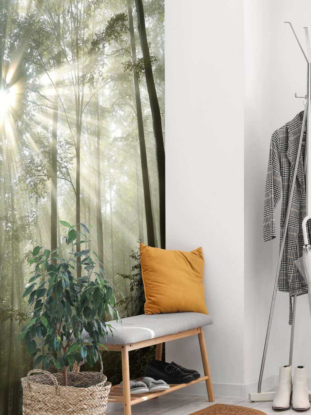 Foresta con la nebbia