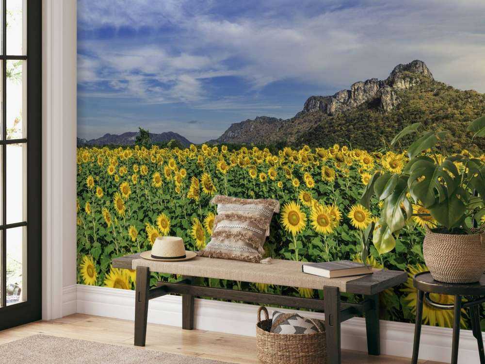 Campo fiorito giallo