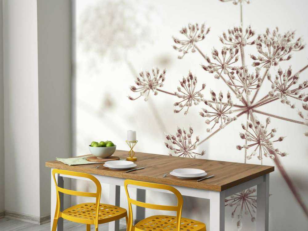 Prezzemolo di mucca ravvicinato