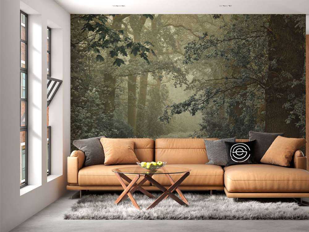 Sentiero nella foresta con nebbia