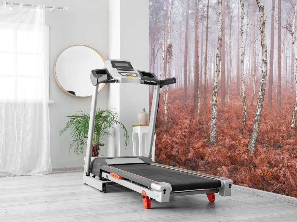 Foresta nebbiosa e deserta