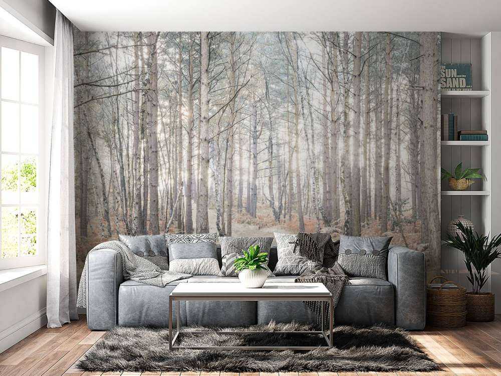 Sentiero sabbioso attraverso la foresta