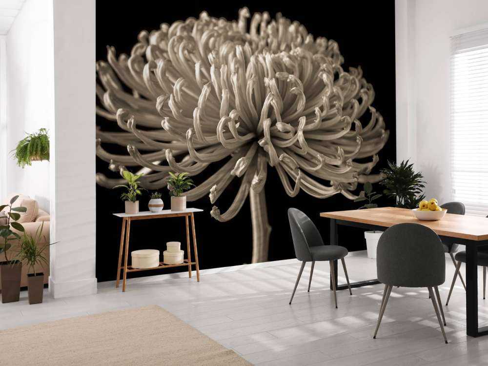 Grande fiore di cosmo