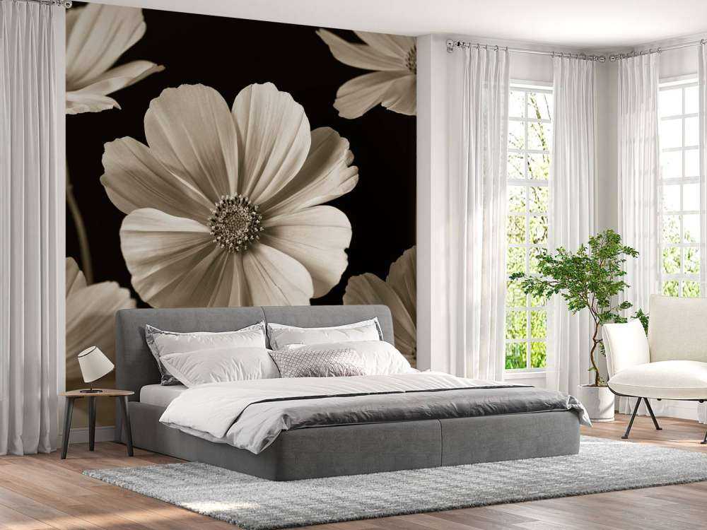 Fiore multiplo di Cosmos