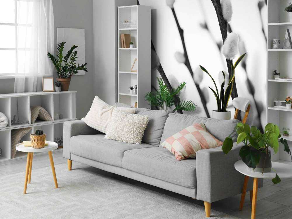 Salice bianco e nero