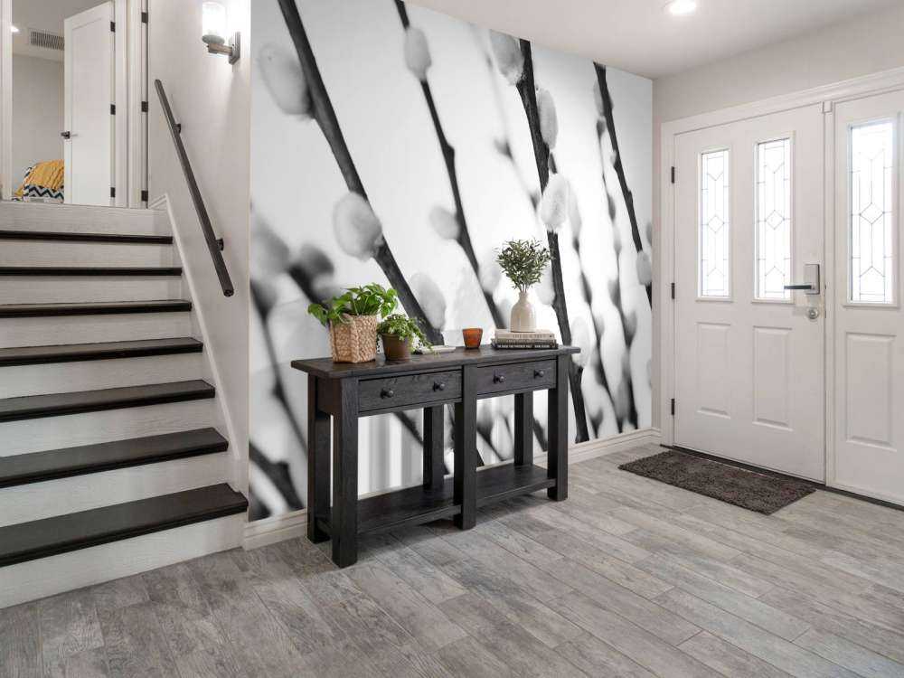 Salice bianco e nero