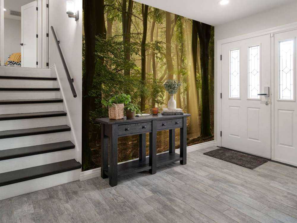 Vecchia foresta con alari