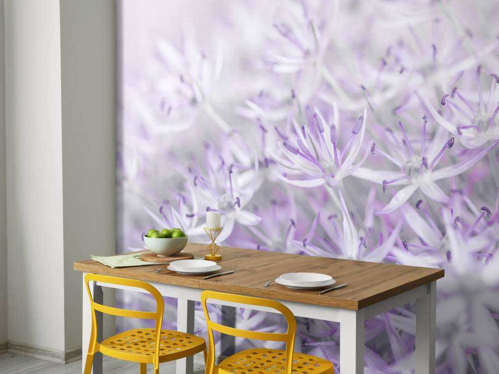 Primo piano di fiori di Allium