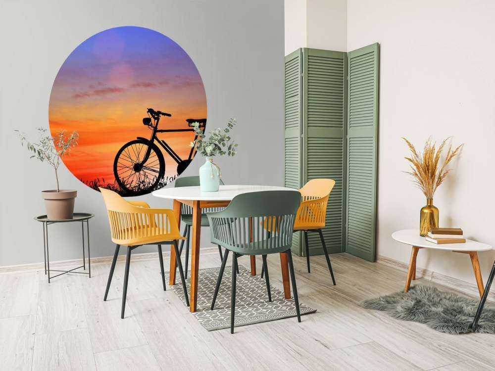 Bicicletta vintage al tramonto