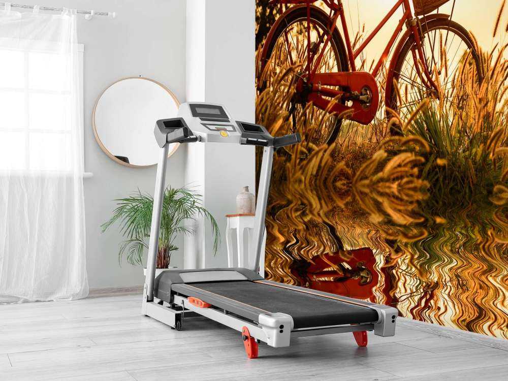 Bicicletta al tramonto