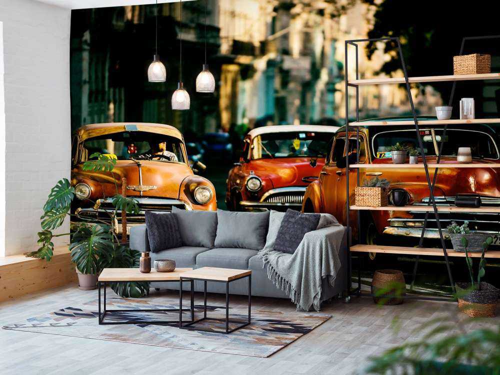 Come with me in the morning light