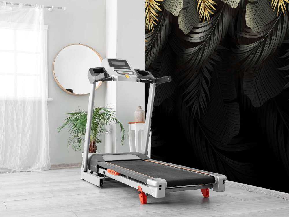 Foglie su sfondo scuro