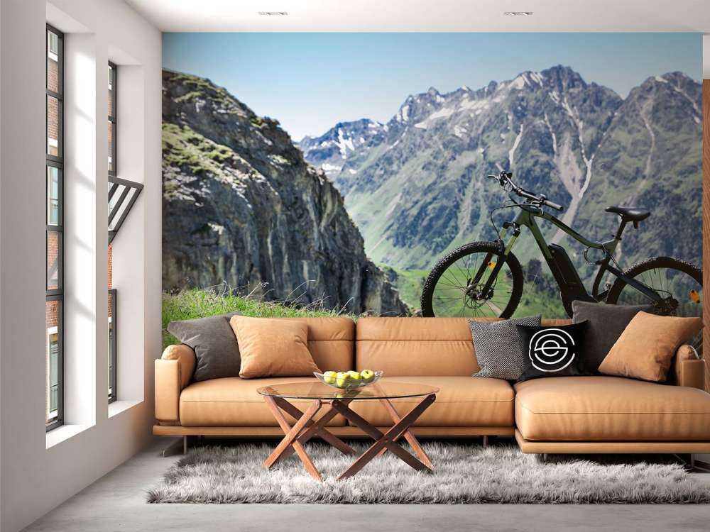 Bicicletta elettrica in Austria