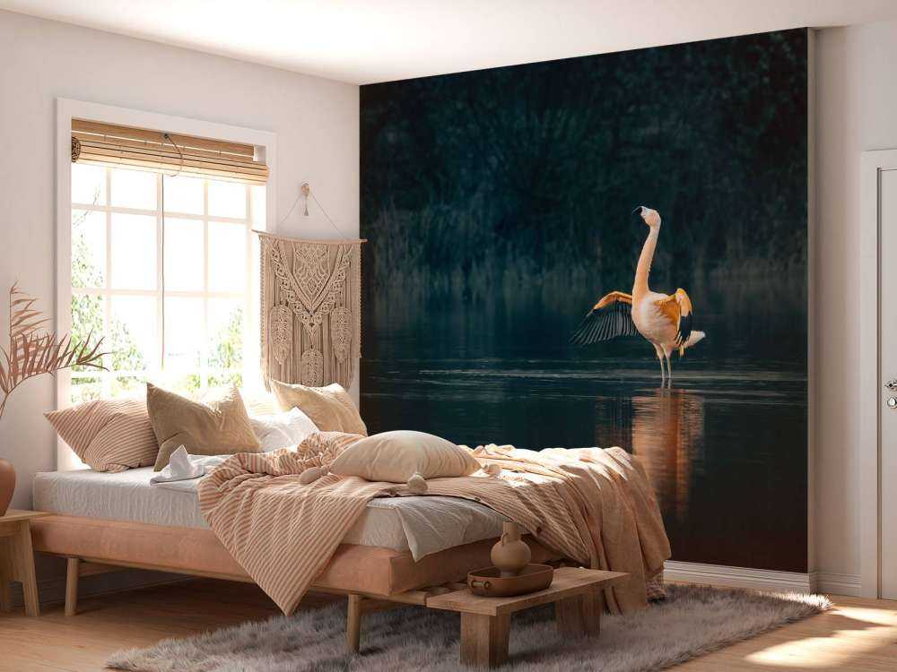 Fenicottero in un lago deserto