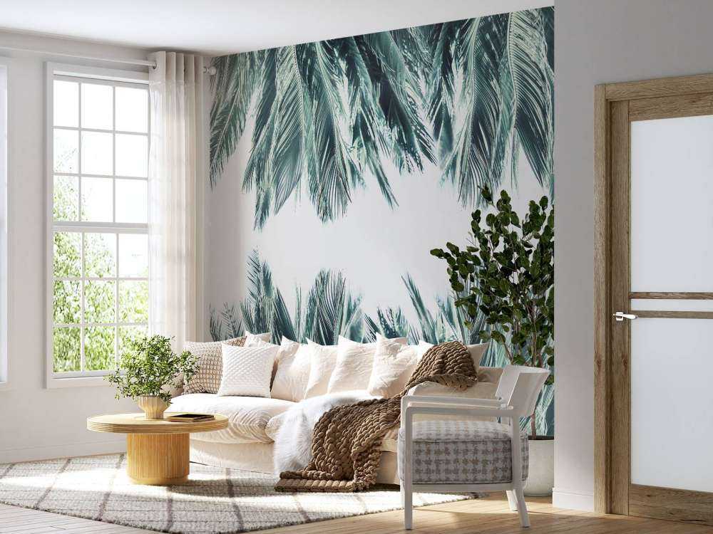 Foglie di palma su sfondo bianco