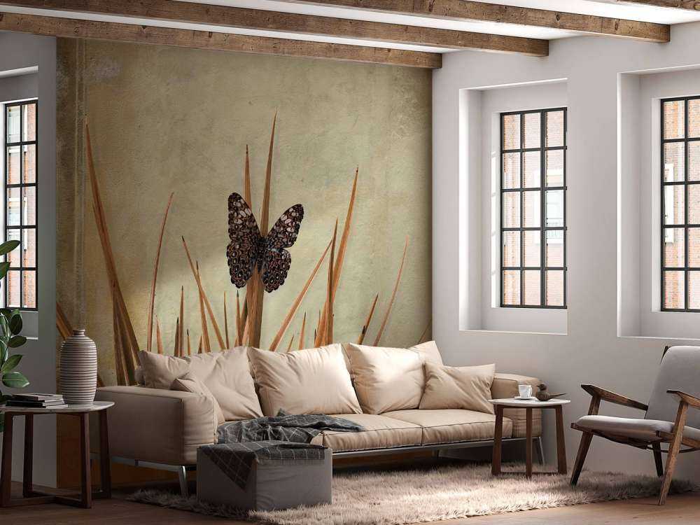 Farfalla vicino a vecchio muro