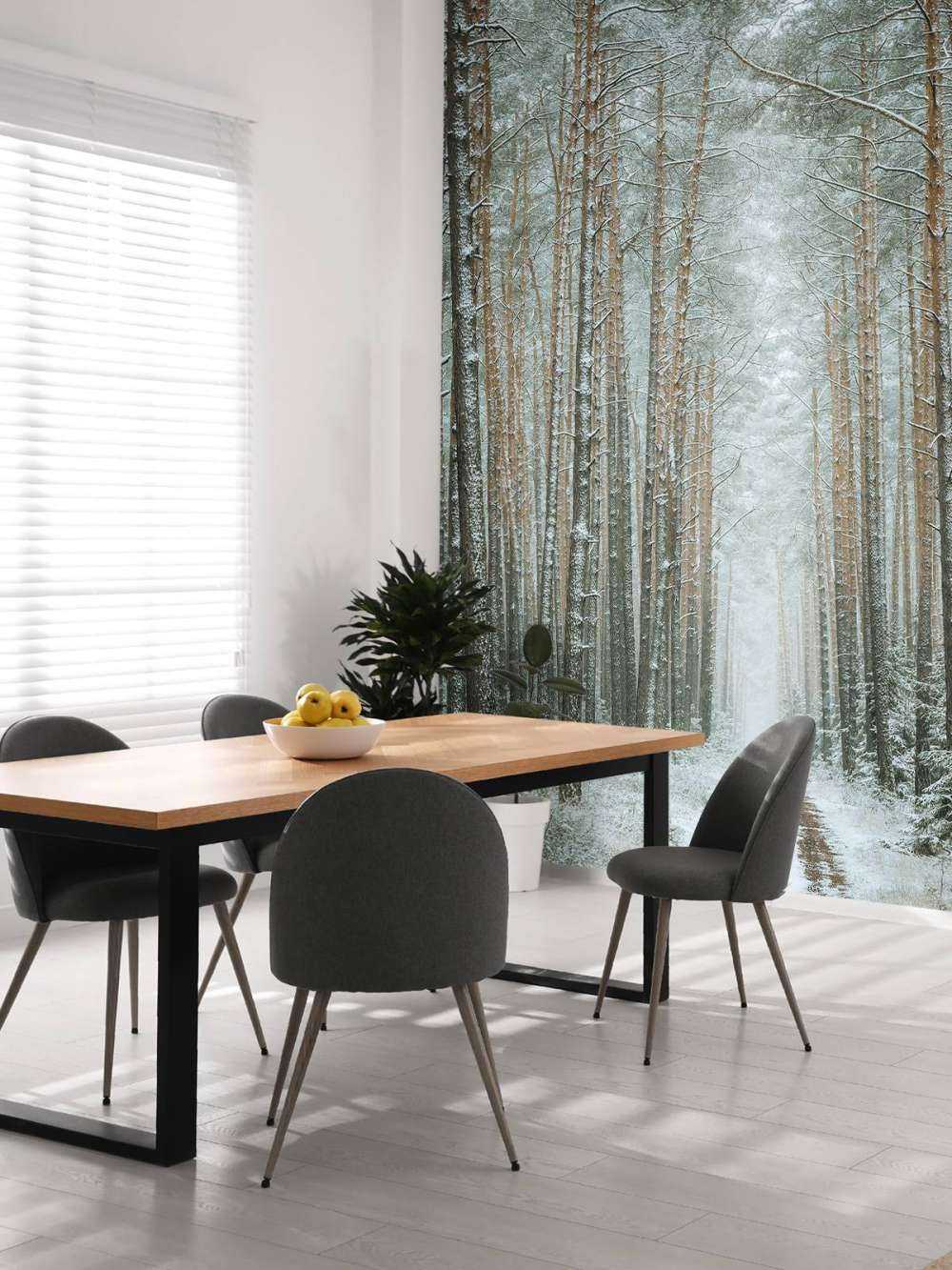 The winter forest road