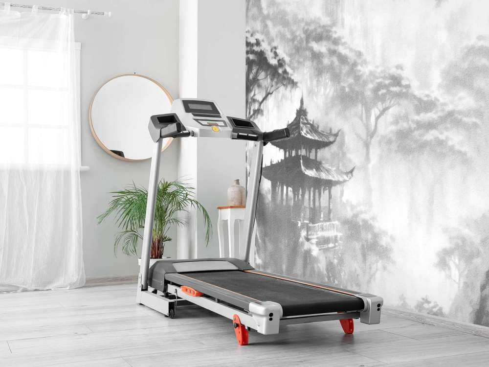 Padiglione Orientale Nebbioso