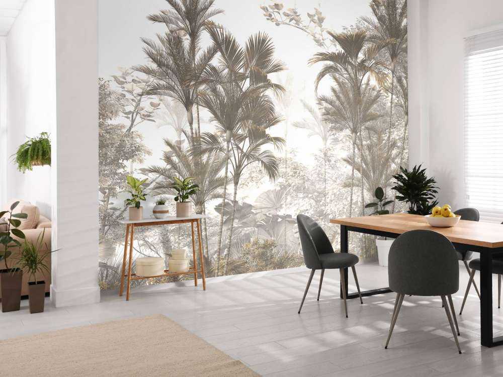 Luce del Sole attraverso le Palme