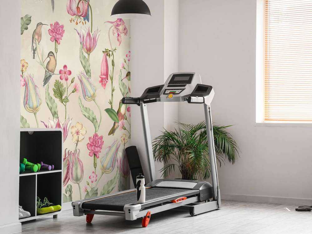 Sinfonia di Colibrì Primaverile - Eleganza Crema Blush