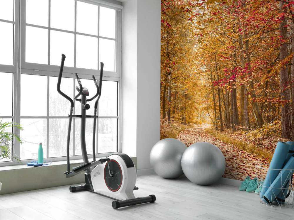 Pathway through Autumn forest