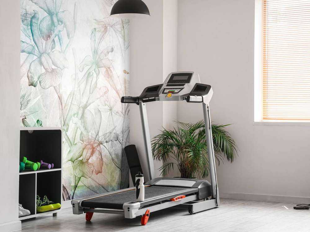 Sogno di Orchidea in Cemento